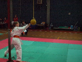 Image description